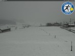 Archiv Foto Webcam Gonten: Langlaufgebiet 13:00