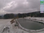 Archived image Webcam Althütte - DSV nordic aktiv Zentrum 13:00