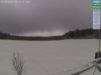 Archived image Webcam DSV nordic aktiv Zentrum Althütte - South 07:00