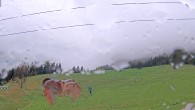 Archived image Webcam Tauplitz - Practice Area Grafenwiese 06:00