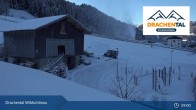 Archived image Webcam Wildschönau - Drachental Family Park 08:00