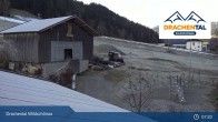 Archived image Webcam Wildschönau - Drachental Family Park 06:00