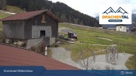 Archived image Webcam Wildschönau - Drachental Family Park 08:00