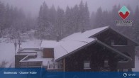 Archiv Foto Webcam Bodenmais - Chamer Hütte 08:00