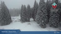 Archived image Webcam Bodenmais - Chamer Hut 12:00