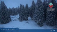 Archiv Foto Webcam Bodenmais - Chamer Hütte 17:00