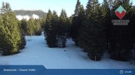 Archiv Foto Webcam Bodenmais - Chamer Hütte 14:00