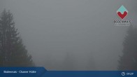 Archived image Webcam Bodenmais - Chamer Hut 08:00