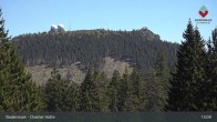 Archiv Foto Webcam Bodenmais - Chamer Hütte 12:00