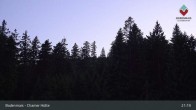 Archiv Foto Webcam Bodenmais - Chamer Hütte 02:00