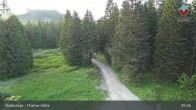 Archiv Foto Webcam Bodenmais - Chamer Hütte 04:00
