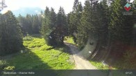 Archiv Foto Webcam Bodenmais - Chamer Hütte 06:00