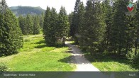 Archiv Foto Webcam Bodenmais - Chamer Hütte 12:00
