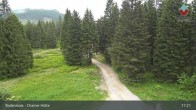 Archived image Webcam Bodenmais - Chamer Hut 16:00