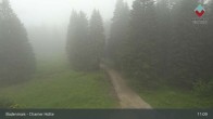 Archived image Webcam Bodenmais - Chamer Hut 10:00
