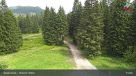 Archived image Webcam Bodenmais - Chamer Hut 14:00
