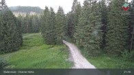 Archiv Foto Webcam Bodenmais - Chamer Hütte 02:00