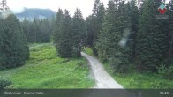 Archiv Foto Webcam Bodenmais - Chamer Hütte 04:00