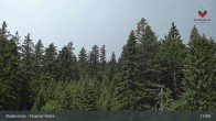 Archived image Webcam Bodenmais - Chamer Hut 10:00