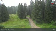 Archived image Webcam Bodenmais - Chamer Hut 12:00