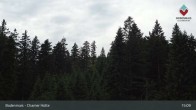 Archived image Webcam Bodenmais - Chamer Hut 14:00