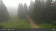 Archived image Webcam Bodenmais - Chamer Hut 16:00