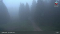 Archiv Foto Webcam Bodenmais - Chamer Hütte 02:00
