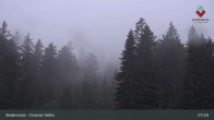 Archiv Foto Webcam Bodenmais - Chamer Hütte 07:00