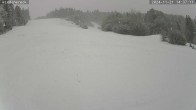 Archiv Foto Webcam Münstertal-Wieden: Skilift Wiedenereck 13:00