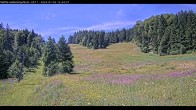 Archived image Webcam Haldenköpfle - View lift 1 11:00