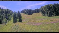 Archived image Webcam Haldenköpfle - View lift 1 13:00