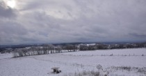 Archiv Foto Webcam Herchenhainer Höhe: Vogelschmiede 11:00