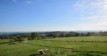 Archiv Foto Webcam Herchenhainer Höhe: Vogelschmiede 17:00