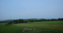 Archiv Foto Webcam Herchenhainer Höhe: Vogelschmiede 03:00