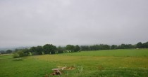 Archived image Webcam Herchenhainer Höhe - Panorama 05:00
