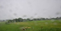 Archived image Webcam Herchenhainer Höhe - Panorama 07:00