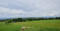 Archived image Webcam Herchenhainer Höhe - Panorama 11:00