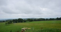 Archiv Foto Webcam Herchenhainer Höhe: Vogelschmiede 15:00