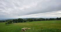 Archiv Foto Webcam Herchenhainer Höhe: Vogelschmiede 17:00