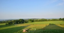 Archiv Foto Webcam Herchenhainer Höhe: Vogelschmiede 00:00
