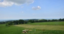 Archiv Foto Webcam Herchenhainer Höhe: Vogelschmiede 04:00