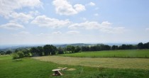 Archiv Foto Webcam Herchenhainer Höhe: Vogelschmiede 08:00