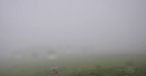 Archived image Webcam Herchenhainer Höhe - Panorama 07:00