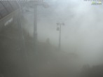 Archived image Jenner - Webcam Valley 15:00