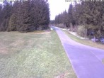 Archived image Webcam Kammloipe: Nordic Trails Johanngeorgenstadt 13:00