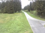 Archived image Webcam Kammloipe: Nordic Trails Johanngeorgenstadt 05:00