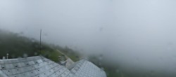 Archived image Webcam Reichenau Raxalpe - Ottohaus 11:00