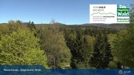 Archived image Webcam Neuschönau - National Park Center Hans-Eisemann-Haus 10:00