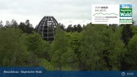 Archiv Foto Webcam Neuschönau - Nationalparkzentrum Hans-Eisemann- Haus 14:00