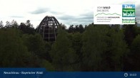 Archived image Webcam Neuschönau - National Park Center Hans-Eisemann-Haus 14:00